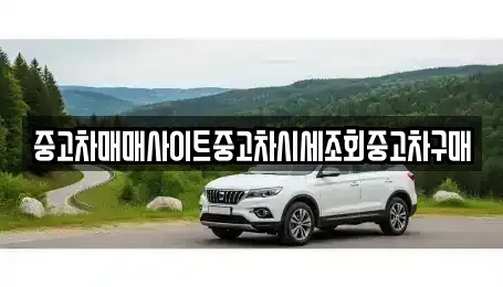 서울특별시 용산구 문배동 중고차 전문 중고차매매사이트중고차시세조회중고차구매