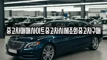서울특별시 중구 주자동 중고차 전문 중고차매매사이트중고차시세조회중고차구매