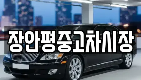 서울특별시 중구 주자동 중고차매매 전문 장안평중고차시장