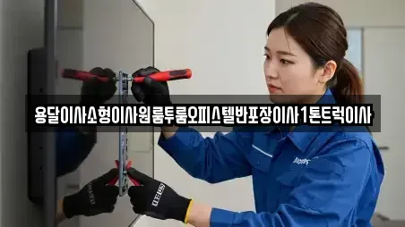 용달이사소형이사원룸투룸오피스텔반포장이사1톤트럭이사