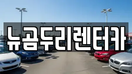 울산 남구 렌트카 전문 뉴곰두리렌터카