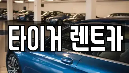 울산 남구 렌트카 전문 타이거 렌트카