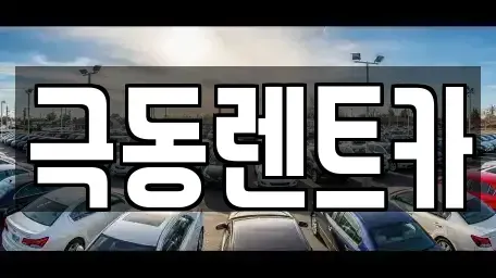 울산 남구 장생포동 렌트카 전문 극동렌트카
