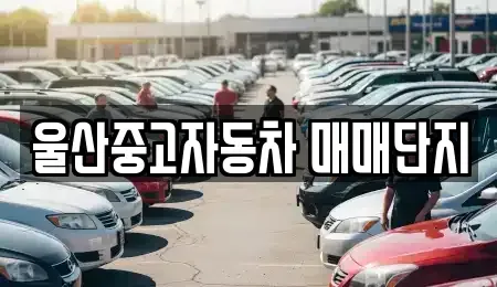 울산 북구 중고차 전문 울산중고자동차 매매단지