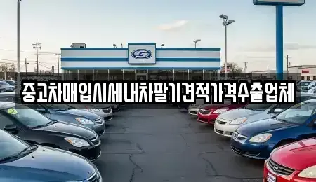 울산 북구 중고차매입 전문 중고차매입시세내차팔기견적가격수출업체