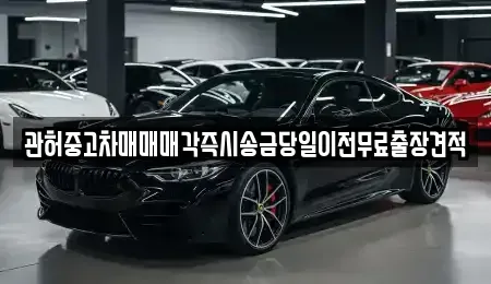 인천 계양구 노오지동 중고차매매 전문 관허중고차매매매각즉시송금당일이전무료출장견적