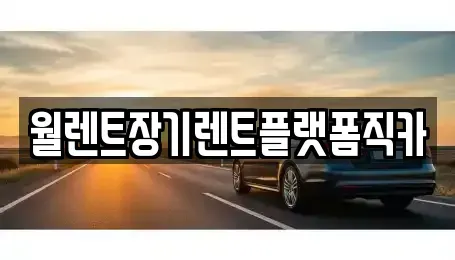 인천 서구 시천동 장기렌트카 전문 월렌트장기렌트플랫폼직카