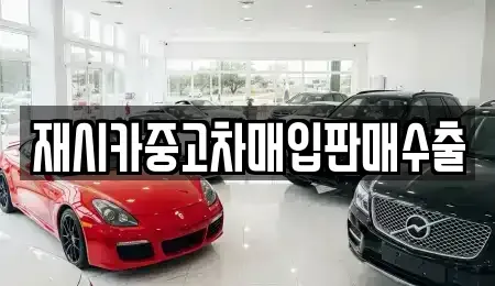 인천 서구 시천동 중고차 전문 재시카중고차매입판매수출