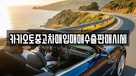 인천 서구 시천동 중고차 전문 카카오토중고차매입매매수출판매시세