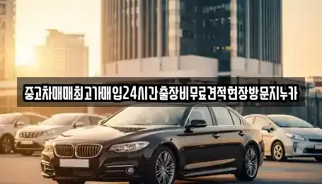 인천 서구 오류동 중고차매입 전문 중고차매매최고가매입24시간출장비무료견적현장방문지누카