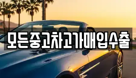 인천 중구 도원동 중고차 전문 모든중고차고가매입수출