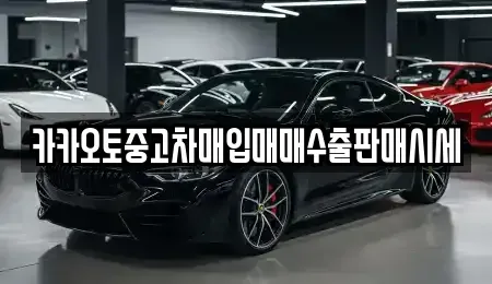 인천 중구 도원동 중고차매입 전문 카카오토중고차매입매매수출판매시세