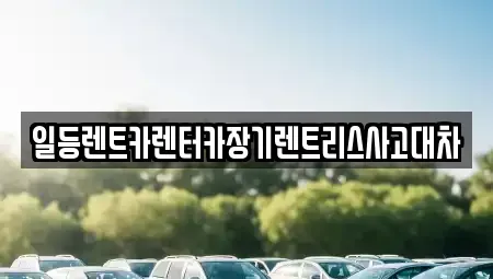 인천광역시 서구 가좌동 장기렌트카 전문 일등렌트카렌터카장기렌트리스사고대차