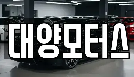 전남 고흥군 과역면 중고차 전문 대양모터스