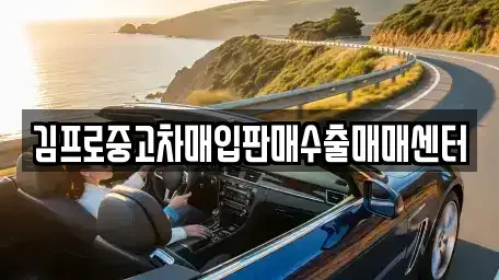 전남 목포시 연산동 중고차매입 전문 김프로중고차매입판매수출매매센터