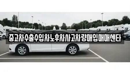 전남 목포시 연산동 중고차매입 전문 중고차수출수입차노후차사고차량매입매매센타