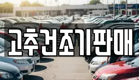 전남 보성군 중고차 전문 고추건조기판매