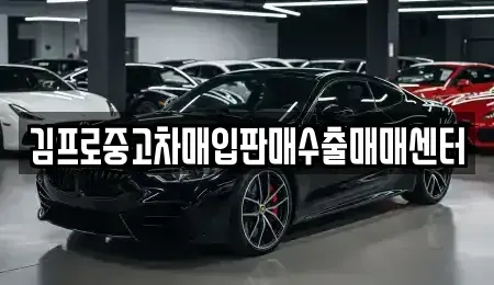 전남 보성군 중고차매입 전문 김프로중고차매입판매수출매매센터
