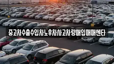 전남 보성군 중고차매입 전문 중고차수출수입차노후차사고차량매입매매센타