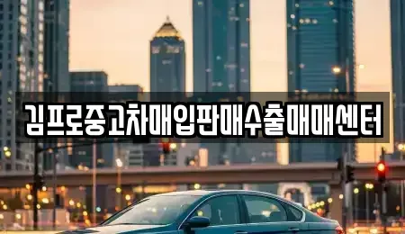 전남 신안군 중고차매매 전문 김프로중고차매입판매수출매매센터