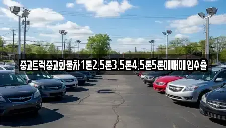 전남 신안군 중고차매입 전문 중고트럭중고화물차1톤2.5톤3.5톤4.5톤5톤매매매입수출