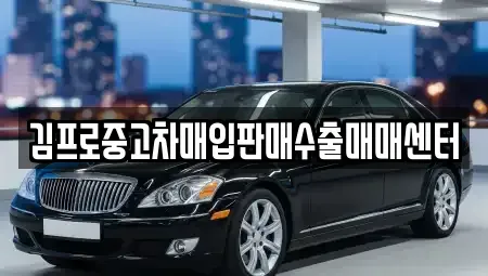 전라남도 나주시 서내동 중고차매매 전문 김프로중고차매입판매수출매매센터