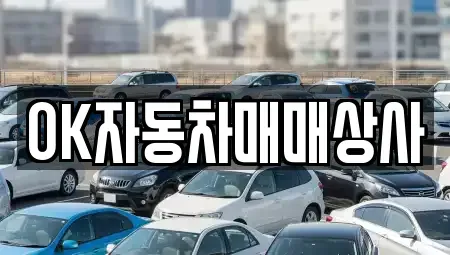 전라남도 여수시 미평동 중고차 전문 OK자동차매매상사