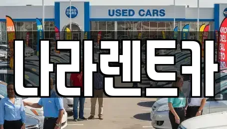 전라남도 함평군 렌트카 전문 나라렌트카
