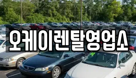 전라남도 함평군 렌트카 전문 오케이렌탈영업소
