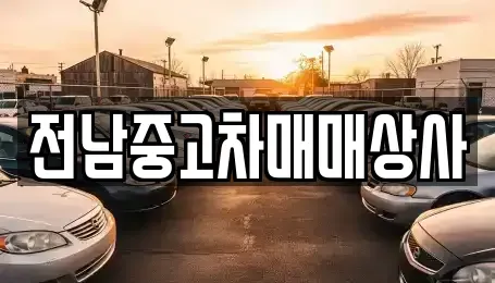 전라남도 함평군 중고차매매 전문 전남중고차매매상사