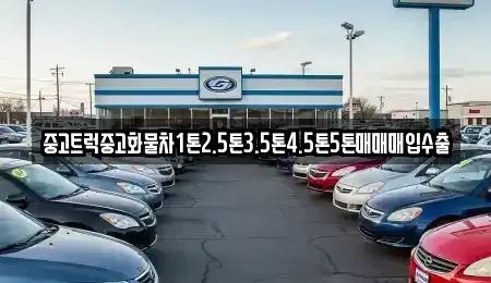 전라남도 함평군 중고차매입 전문 중고트럭중고화물차1톤2.5톤3.5톤4.5톤5톤매매매입수출