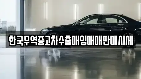 전라남도 함평군 중고차매입 전문 한국무역중고차수출매입매매판매시세