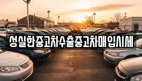 전북 전주시 완산구 다가동1가 중고차 전문 성실한중고차수출중고차매입시세
