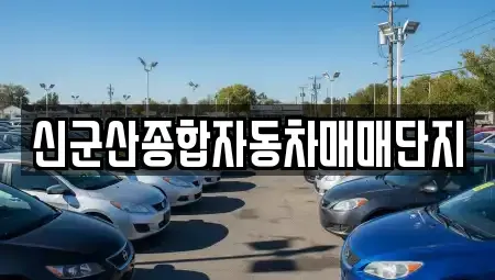 전북특별자치도 군산시 옥산면 중고차,렌트카,중고차매입,중고차매매,장기렌트카,단기렌트카