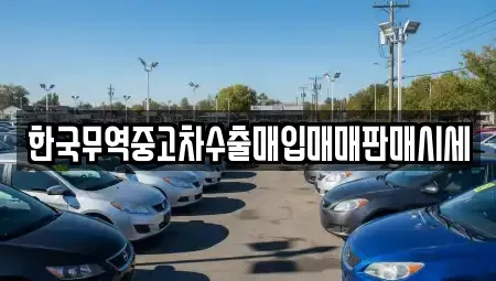 전북특별자치도 남원시 죽항동 중고차매입 전문 한국무역중고차수출매입매매판매시세