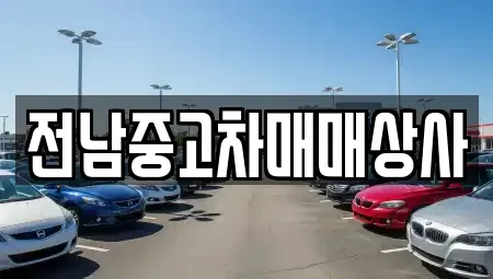 전북특별자치도 전주시 덕진구 산정동 중고차 전문 전남중고차매매상사