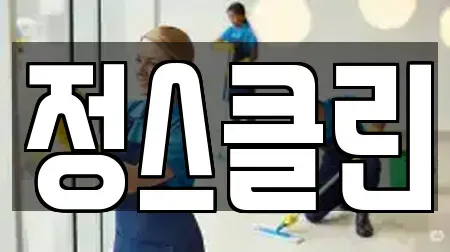 정스클린