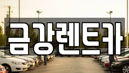 제주특별자치도 제주시 삼도일동 렌트카 전문 금강렌트카