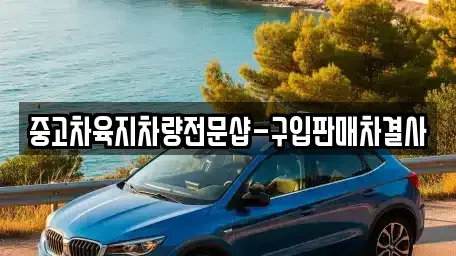 제주특별자치도 제주시 삼도일동 중고차매매 전문 중고차육지차량전문샵-구입판매차결사