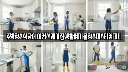 주방청소식당에어컨쓰레기집생활폐기물청소미스터컴퍼니