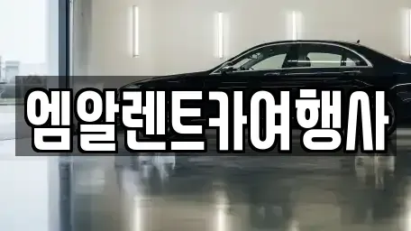 충남 공주시 신관동 렌트카 전문 엠알렌트카여행사