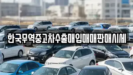 충남 공주시 신관동 중고차매입 전문 한국무역중고차수출매입매매판매시세