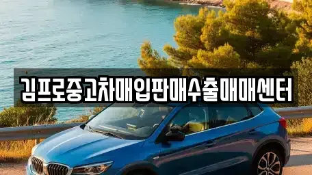 충남 보령시 남포면 중고차매입 전문 김프로중고차매입판매수출매매센터