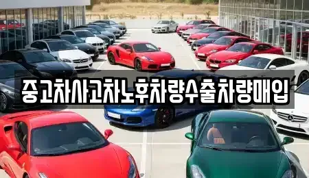 충북 괴산군 불정면 중고차 전문 중고차사고차노후차량수출차량매입