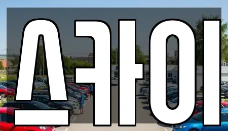 충청남도 서산시 잠홍동 렌트카 전문 스카이