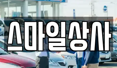 충청남도 서천군 중고차 전문 스마일상사