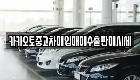 충청남도 서천군 중고차매입 전문 카카오토중고차매입매매수출판매시세