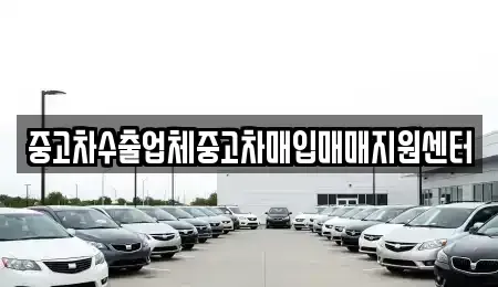 충청북도 청주시 흥덕구 중고차매입 전문 중고차수출업체중고차매입매매지원센터