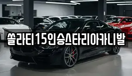 충청북도 충주시 동량면 렌트카 전문 쏠라티15인승스타리아카니발