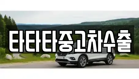 충청북도 충주시 동량면 중고차 전문 타타타중고차수출